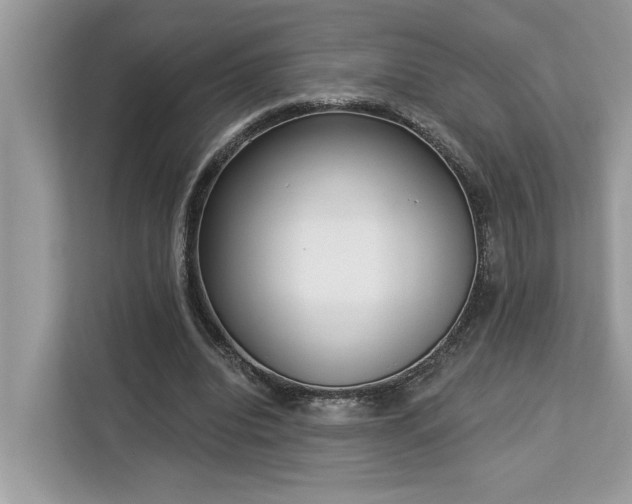 X0000113100440200908281351