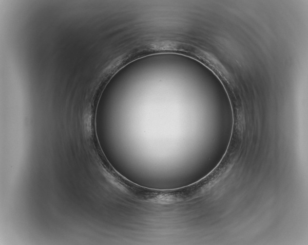 X0000113100441200908281351