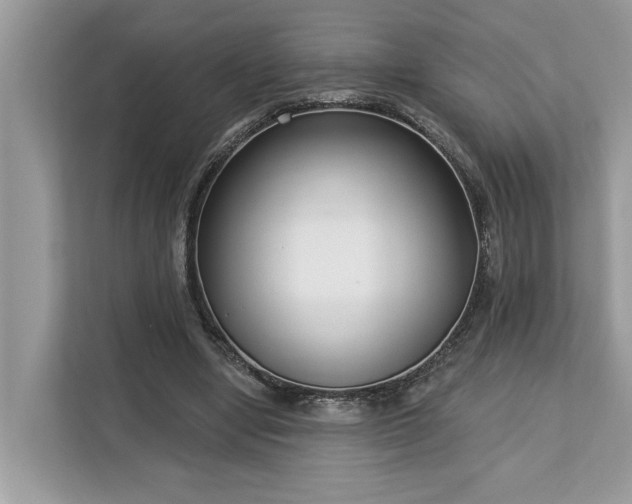 X0000113100442200908281351