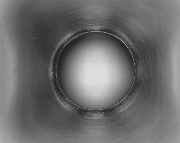 X0000113100443200908281351