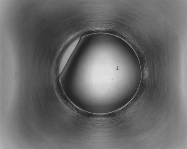 X0000113100444200908281351