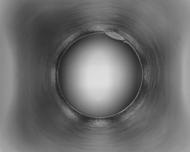 X0000113100445200908281351