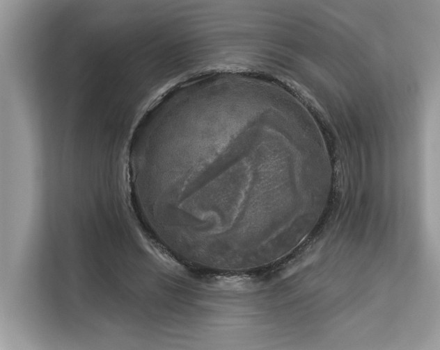 X0000113100446200908281351