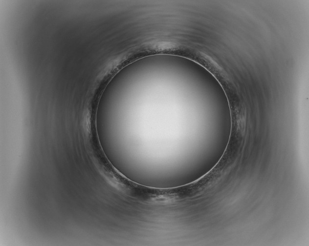 X0000113100447200908281351