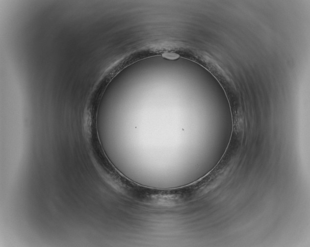 X0000113100448200908281351