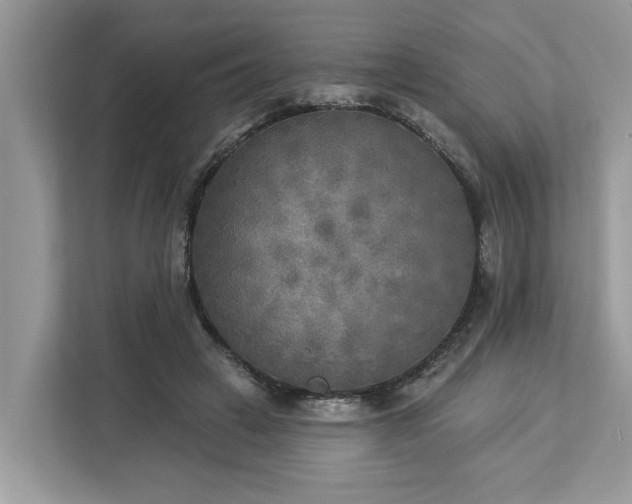 X0000113100449200908281351