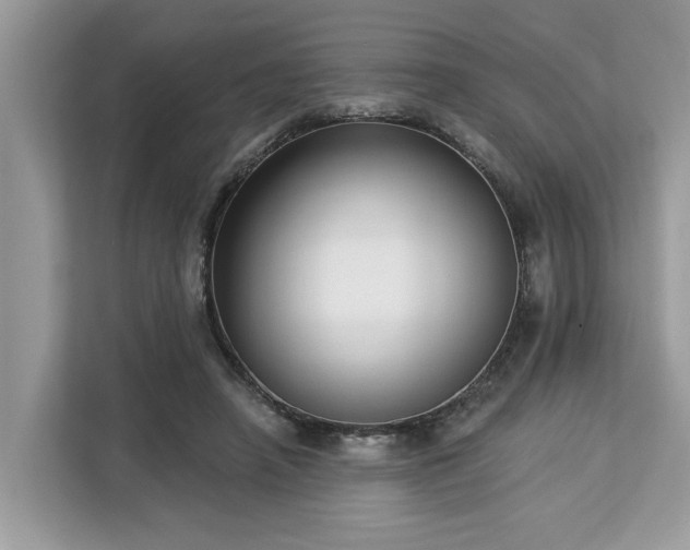 X0000113100450200908281351