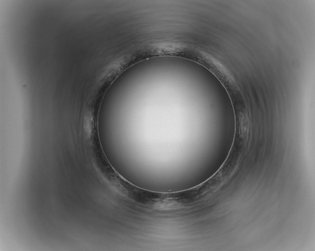 X0000113100451200908281351