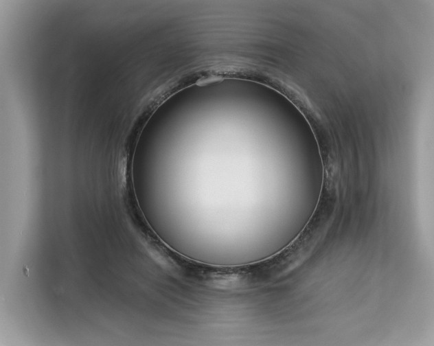 X0000113100454200908281351