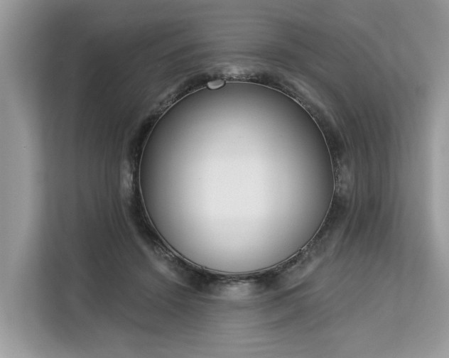 X0000113100456200908281351