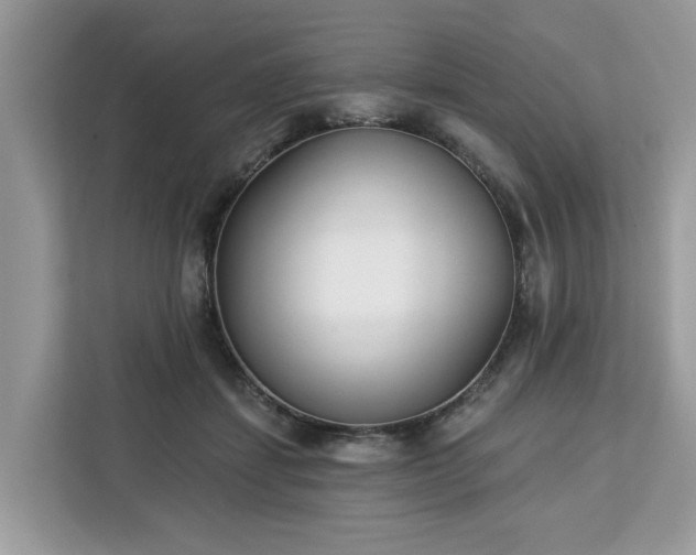 X0000113100459200908281351