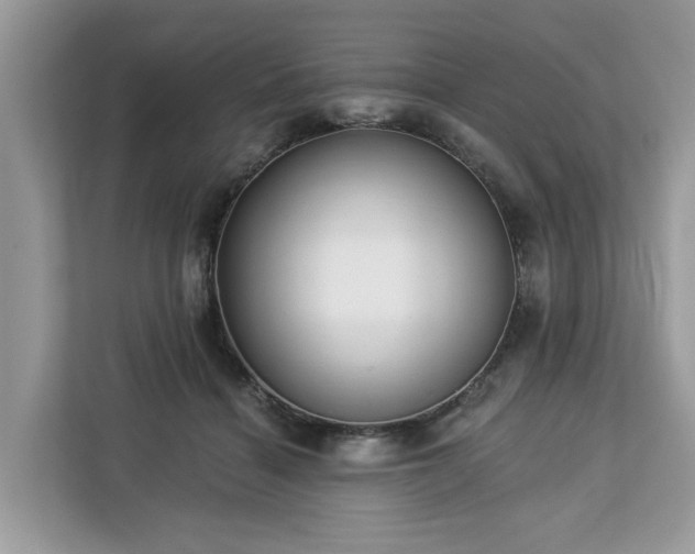 X0000113100460200908281351