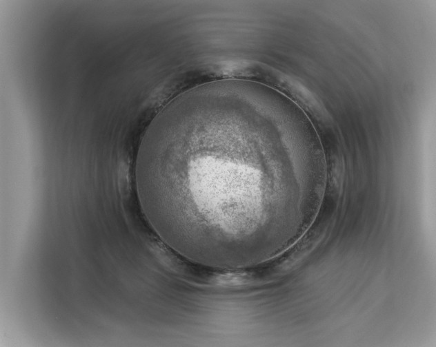 X0000113100461200908281351