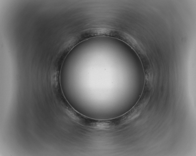 X0000113100462200908281351