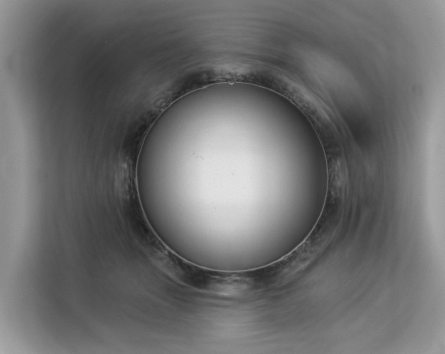 X0000113100463200908281351