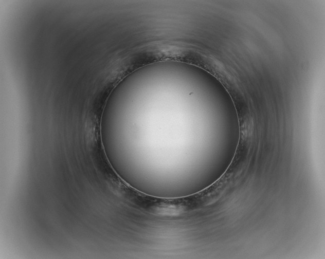 X0000113100464200908281351