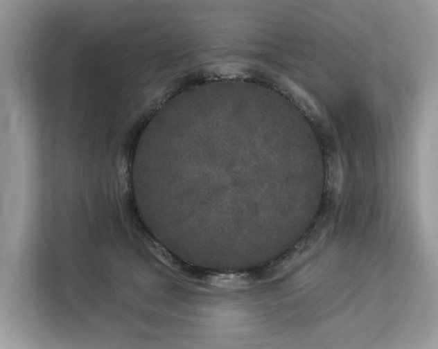 X0000113100465200908281351