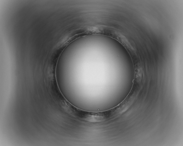 X0000113100466200908281351