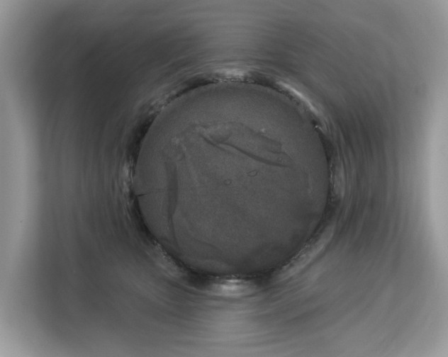 X0000113100467200908281351