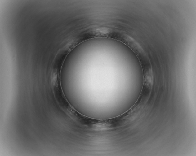 X0000113100468200908281351