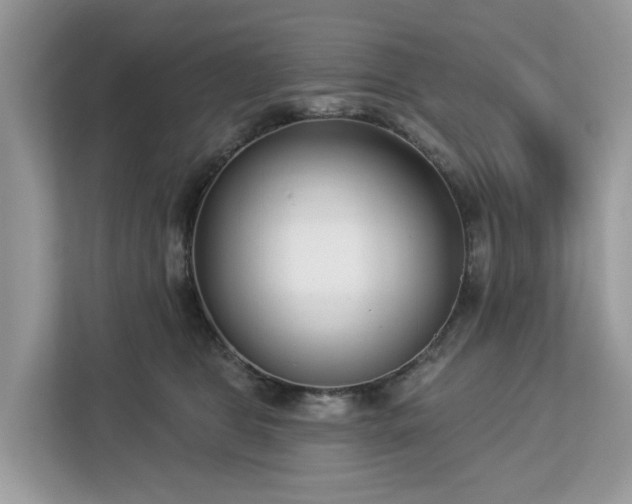 X0000113100469200908281351