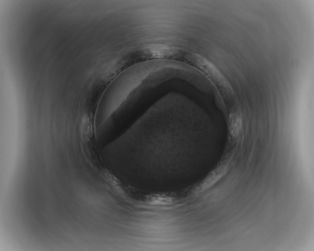 X0000113100471200908281351