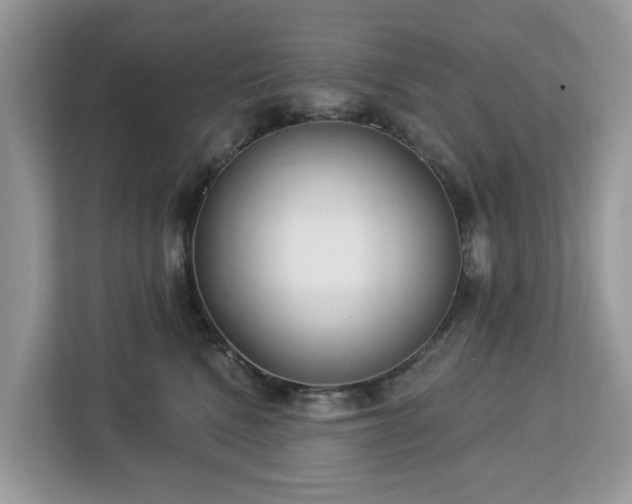X0000113100472200908281351