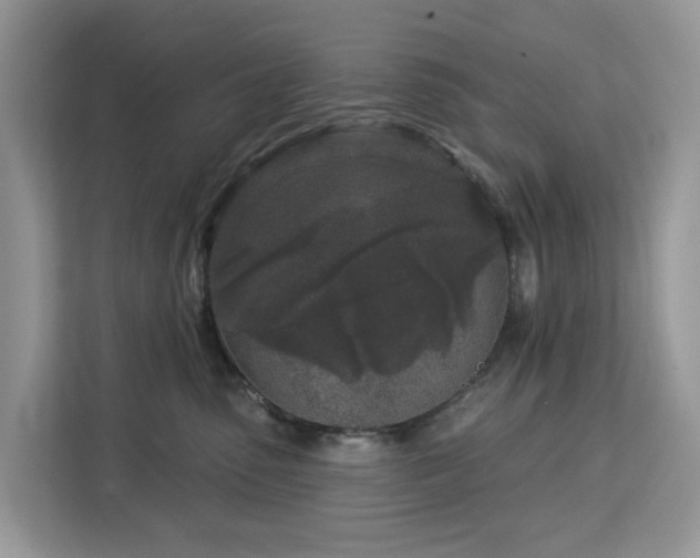 X0000113100475200908281351