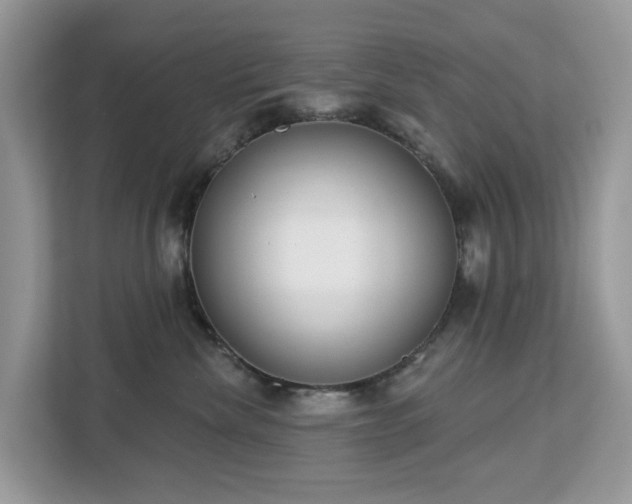X0000113100476200908281351