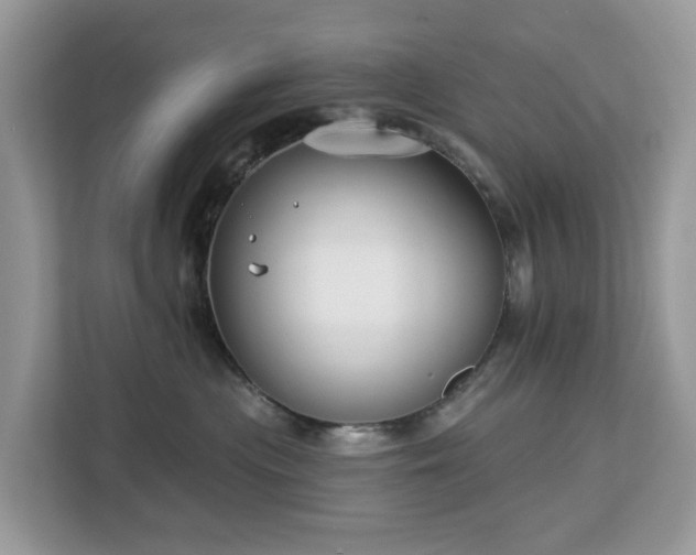 X0000113100477200908281351