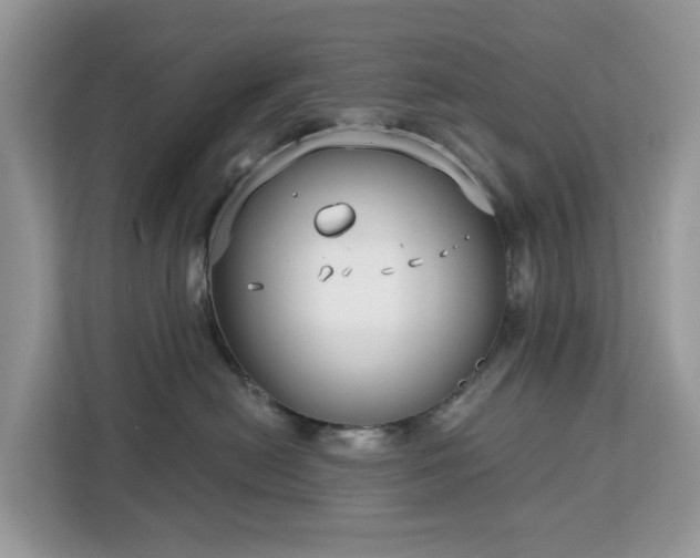 X0000113100478200908281351