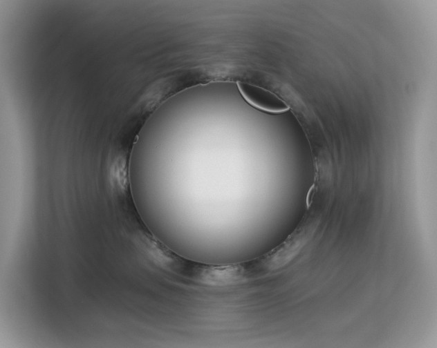 X0000113100479200908281351