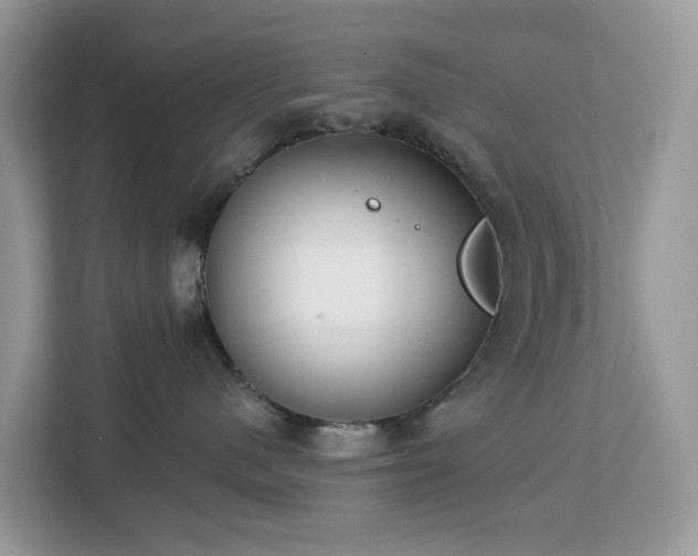 X0000113100480200908281351