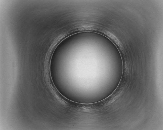 X0000113100481200908281351
