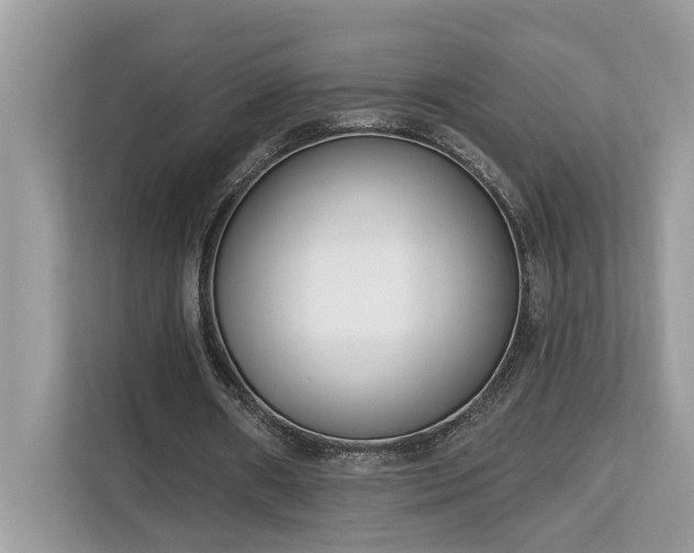 X0000113100482200908281351