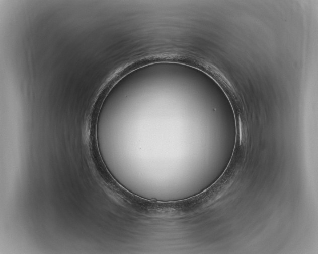 X0000113100483200908281351