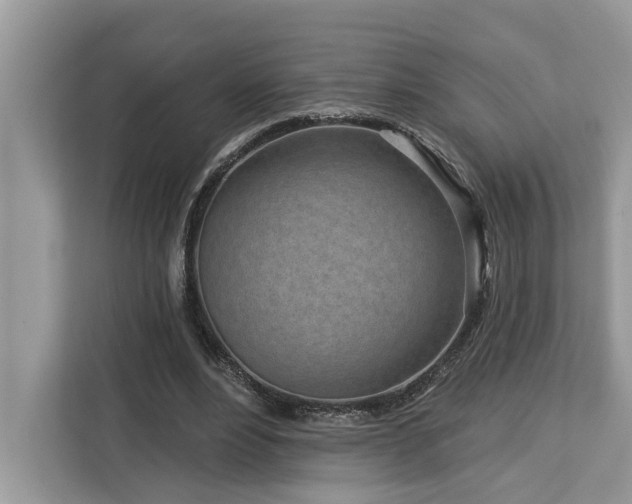 X0000113100488200908281351