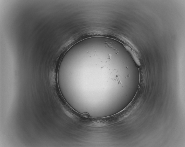 X0000113100489200908281351