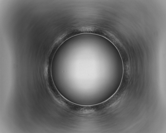 X0000113100491200908281351