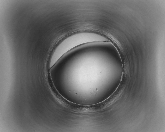 X0000113100493200908281351