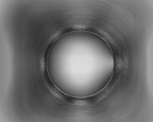 X0000113100494200908281351