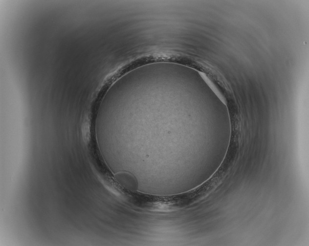 X0000113100496200908281351