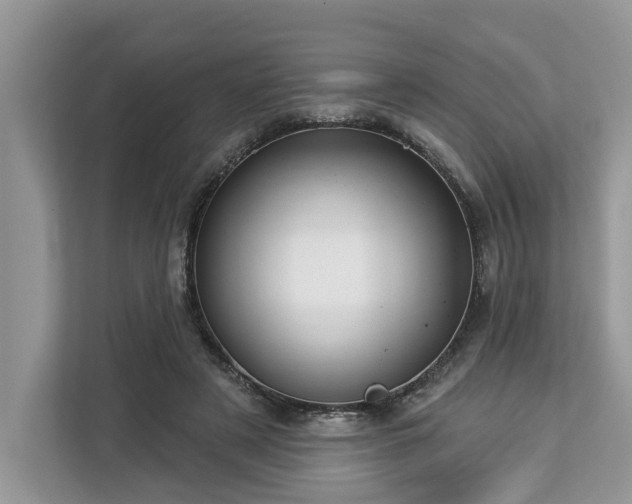 X0000113100497200908281351