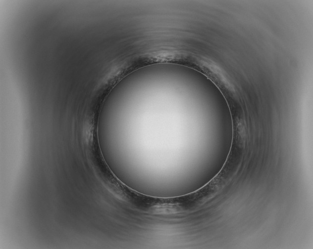 X0000113100499200908281351