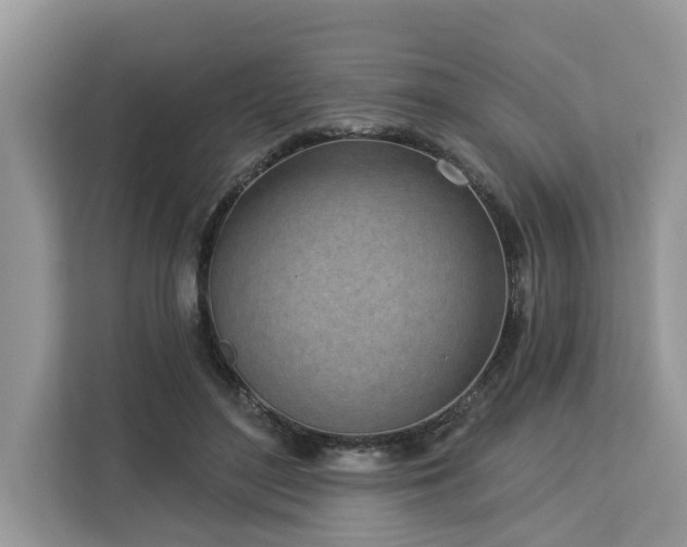 X0000113100500200908281351
