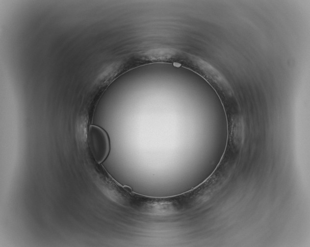 X0000113100501200908281351
