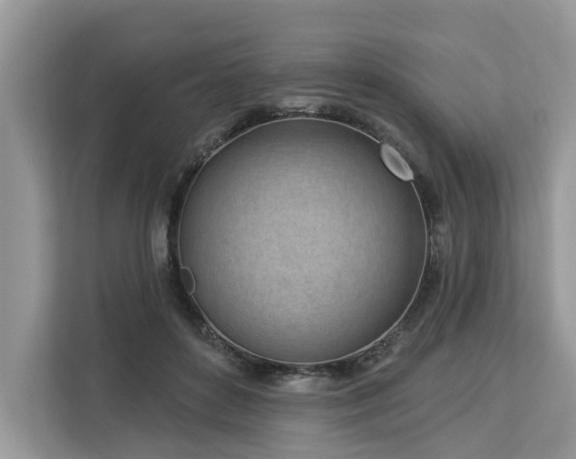 X0000113100504200908281351
