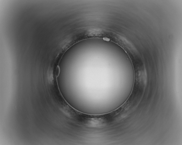 X0000113100508200908281350