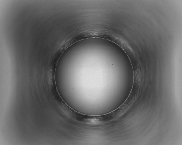 X0000113100509200908281350