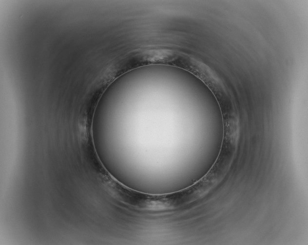 X0000113100510200908281350